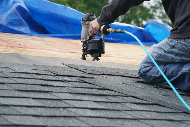 Best Local Roofing Companies  in Nellysford, VA