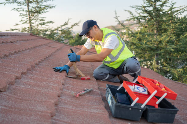 Best Roof Leak Repair  in Nellysford, VA