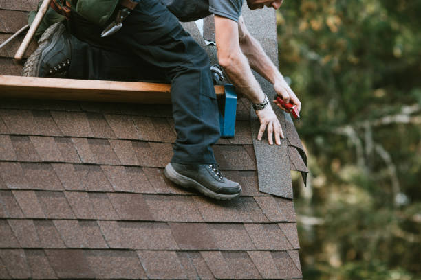 Best Roof Repair Services  in Nellysford, VA